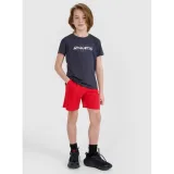 Chlapecké tréninkové tričko s krátkým rukávem 4F JUNIOR TSHIRT FNK M1209-22S-ANTHRACITE · záber 6