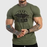 Férfi fitness póló Iron Aesthetics Force, zöld · záber 1