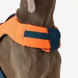 SOLOGNAC Plávacia vesta pre psa XL · záber 2