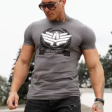 Pánske fitness tričko Iron Aesthetics Triumph, Sivé · záber 1