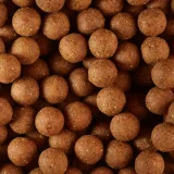 CAPERLAN Boilies na lov kapra Wellmix Instant 20 mm/1 kg Monstercrab bez · záber 2