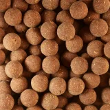 CAPERLAN Boilies na lov kapra Wellmix Plus 20 mm/1 kg Spicy Tuna bez · záber 2