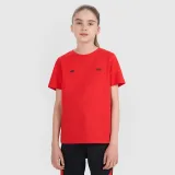 Dětské tričko regular s potiskem 4F JUNIOR x Robert Lewandowski - červené · záber 1