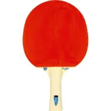Stolní tenisová raketa TIBHAR FUN Samsonov · záber 1
