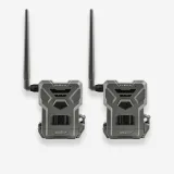 Fotopasca Spypoint FLEX-M 28 Mpx + dvojbalenie za zvýhodnenú cenu + 4 SIM karty ZADARMO · záber 2