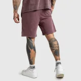 Pánské kraťasy Iron Aesthetics X Washed, burgundy · záber 5
