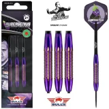 Bull's Aubergenius SC Dirk Van Duijvenbode Steel 21 g · záber 3
