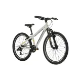 Kross Dust JR 1.0 24" - model 2025 šedá/čierna/lesk - S (12", 130-150 cm) · záber 2
