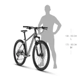 Kellys Spider X80 29" - model 2025 Moonstone grey - XL (21", 190-200 cm) - Veľkosť: 190-200, XL, 29 | Farba: sivá · záber 3