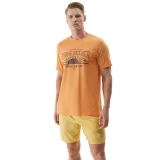 Pánske plavky 4F BOARD SHORTS-WSS24UBDSM092-71S-YELLOW · záber 2