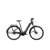 ROCKRIDER Trekingový elektrobicykel E-ACTV 900 Owuru nízky rám zelený S · záber 2