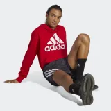 Pánská mikina s kapucí ADIDAS M BL FT HD-IC9365-Red · záber 4