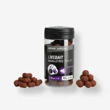 CAPERLAN Mikro boilies + dumbells cesnak 60 g bez · záber 1