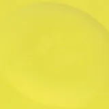 OLAIAN Disk pre psov žltý bez · záber 2