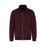 Pánska mikina so zipsom VOLCANO B-LED-403-BURGUNDY · záber 5