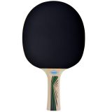 Pálka na stolní tenis DONIC Legends 400 FSC · záber 2
