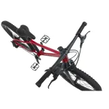 Detský horský bicykel RASCAL Wild 20, ruby red · záber 2