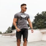 Pánske fitness tričko Iron Aesthetics Triumph, Sivé · záber 2