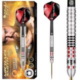 darts szett steel Shot Michael Smith Achieve 25g, 90% wolfram · záber 1