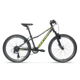 Galaxy Pavo 24" - model 2024 strieborná - 12" (138-148 cm) · záber 2