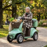 Elektrický štvorkolesový vozík W-TEC Lubica II • 25km/h • až 50km dojazd • s vodičským preukazom · záber 5