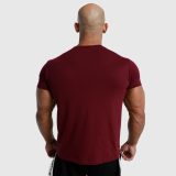 Pánské fitness tričko Iron Aesthetics Unbroken, bordové · záber 5