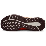 Nike Juniper Trail 2 GORE-TEX - 42,5 · záber 2
