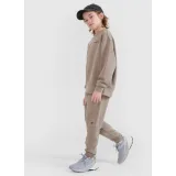 Chlapecké tepláky 4F JUNIOR TROUSERS CAS M1103-83S-BEIGE · záber 3