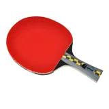 Joola Carbon Pro · záber 2