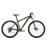Horský bicykel AMULET 29 Rival 8.0 SH, chrome green black · záber 2
