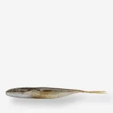 CAPERLAN Mäkká umelá nástraha s atraktantom Yubari LV JRK 4,7" Hrebenačka sharpshooting 12 cm - 4,7" · záber 1