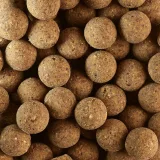 CAPERLAN Boilies na lov kapra Wellmix Plus 25 mm/1 kg Konopné semeno - Tigrí orech bez · záber 2