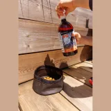 SOLOGNAC Olej z lososa 1 liter – výživa pre psov bez · záber 2