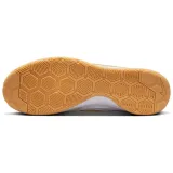 Nike Gato IC - 45 · záber 2